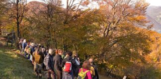 Successo di partecipazione nei territori per la sesta edizione Cammina Foreste Urbane 2023 di Legambiente Lombardia e ERSAF