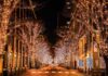 L’incanto dell’inverno a Tokyo, tra luci, suoni e panorami mozzafiato