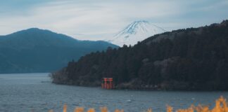 Tra geisha e samurai: un viaggio oltre gli stereotipi