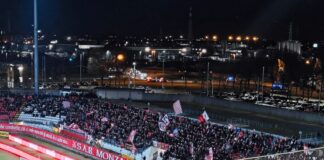 Monza sconfitto in casa dalla Fiorentina
