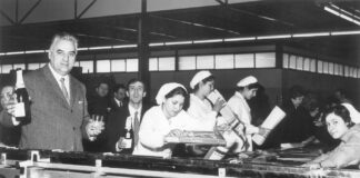 Vitavigor compie 65 anni e cresce in fatturato (+30%) ed export (+28%): qualità e tradizione guidano la crescita