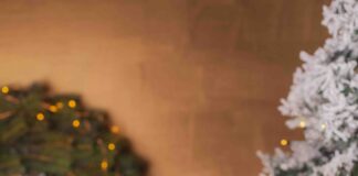 Un Natale dal sapore green: arriva il Panettone d’autore in vasocottura mela Pink Lady® e cannella by Nicolò Moschella in Xmas limited edition
