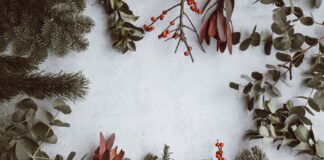 Il 16 dicembre arriva il Christmas Fashion Day a Treviglio, un evento che unisce moda e skincare con la designer Valentina Poltronieri e il brand di cosmesi MOMO
