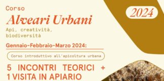 Corsi di apicoltura urbana, perchè le api non fanno solo il miele