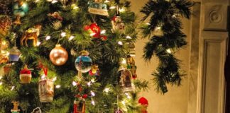 Natale, dai pediatri 5 consigli per vivere le feste in serenità
