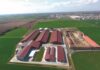 Ennesimo Natale inquinato: polveri sottili a livelli critici nei centri agricoli