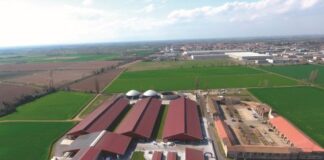 Ennesimo Natale inquinato: polveri sottili a livelli critici nei centri agricoli