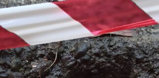 Trovato ordigno bellico inesploso in Darsena durante pulizia fondale