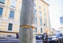 Tendono cavo d’acciaio ad altezza uomo in viale Toscana, avrebbe decapitato ciclisti o motociclisti