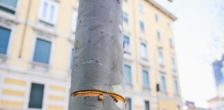 Tendono cavo d’acciaio ad altezza uomo in viale Toscana, avrebbe decapitato ciclisti o motociclisti
