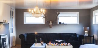 MaisonFire guida l’innovazione nel mercato dei camini ecologici nonostante le sfide del settore immobiliare