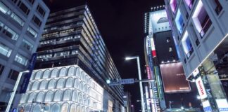 Ginza: gastronomia stellata, shopping e cultura a Tokyo