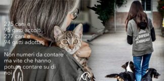 Lega Nazionale per la difesa del cane a Segrate, i numeri del 2023