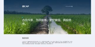 Gruppo CAP è la prima utility a lanciare la versione in cinese del sito web