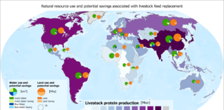 Agricoltura: cambiare il mangime animale riduce il consumo di risorse naturali come suolo e acqua