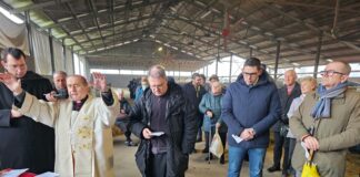 S. Antonio, sono 1,6 milioni gli animali della fattoria milanese e lodigiana