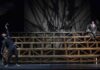 Gli Uccelli di Aristofane, dal 1 all’11 febbraio al Teatro Menotti