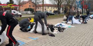 Blitz anti contraffazione di Carabinieri e GdF a Bollate, sequestrata merce per 160.000€