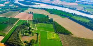 Recupero fanghi agricoltura, Arpa avvia nuovo applicativo