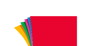 Manifestazione FLC CGIL sabato 27 e domenica 28