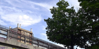 Municipio 6, murale lungo il Naviglio dedicato a Manzoni e a I Promessi Sposi