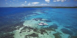 5 motivi imperdibili per visitare Antigua e Barbuda nel 2024