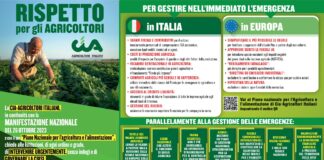 Incontro con ministro Lollobrigida, Maccazzola: “Sì a distribuzione equa delle risorse ma zootecnia lombarda non vada penalizzata”