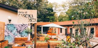 Le piante stanno zitte? Sabato 2 a Cascina Nascosta con Il Contadino Nick
