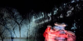 Triennale, gli appuntamenti della prossima settimana