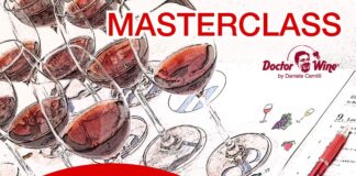 Vino, arrivano le masterclass di Doctorwine