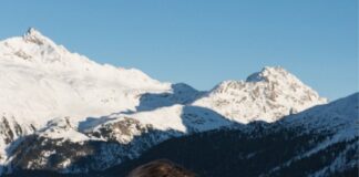 Cruciani presenta la FW24 women’s collection e una capsule dedicata a St.Moritz