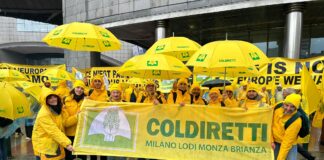 Ue, Coldiretti: agricoltori di Milano, Lodi e Monza a Bruxelles per stop burocrazia e misure urgenti per reddito imprese
