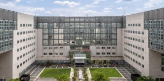 BiM lancia in Bicocca “Botanica Temporanea” per studiare gli effetti del verde in città