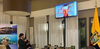 Il gusto del cacao ecuadoriano