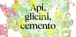 Il National Biodiversity Future Center studia la biodiversità urbana attraverso le piattaforme digitali