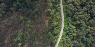 Al via la quarta edizione della Call for Ideas di Fondazione Cariplo“Strategia Clima”: obiettivo neutralità climatica entro il 2040 e percorsi di resilienza delle comunità