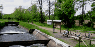 Trentennale del PLIS del Roccolo: i Circoli di Legambiente dell’asse del Sempione sollecitano i Comuni del Parco a esercitare una migliore gestione