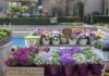 Soffio di Primavera, sabato 9 e domenica 10 a Villa Necchi Campiglio con Fai
