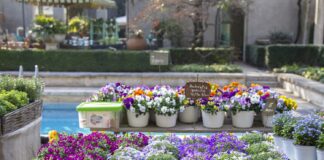 Soffio di Primavera, sabato 9 e domenica 10 a Villa Necchi Campiglio con Fai
