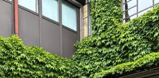 La Tortona Design Week: sostenibilità e rinascita