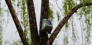 Biblioteca degli Alberi, 300 sensori per monitorare lo stato di salute e il livello di inquinamento