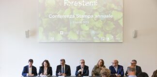 Forestami, il report in triennale, i progetti che ci sono e quelli che verranno