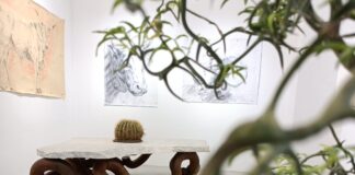 Fuorisalone 2024. “Nature’s Crust” di Nicola Maggi, una mostra dove la natura s’incontra con il design