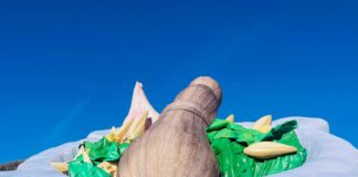Pesto protagonista per 3 giorni in Darsena da venerdì 5 a domenica 7 con Regione Liguria