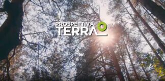 Nasce Prospettiva Terra, un network di aziende, comunità scientifica realtà non profit e istituzioni, impegnate in progetti di ricerca, innovazione e divulgazione per affrontare il riscaldamento globale
