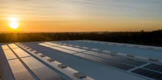 Soly, clean energy tech company, cresce, assume 20 figure e pianifica l’apertura di una nuova sede in Italia