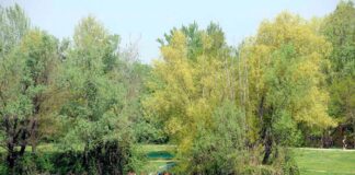 Nella ‘Giornata della Terra’ Milano annuncia la sottoscrizione del Climate City Contract con 25 stakeholder
