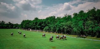 Da oggi Torneo Polo El Porteno Golden Cup 2024 al Mimosa Club di Pogliano Milanese