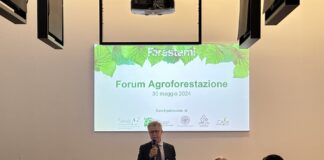 Forestami entra in dialogo con il settore dell’agroforestazione