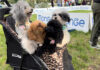 Domenica 12 all’Idroscalo torna la “Pet Flower Parade”